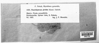 Image Associated With the Occurence